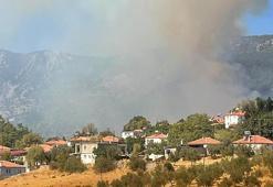 Muğla'da orman yangını