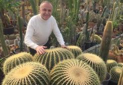 Farklı ülkelerden 600 kaktüsle çatıda bahçe kurdu