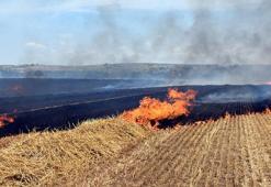 Trakya'daki yangınlarda 37 bin 115 dekar tarım alanı zarar gördü