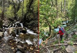 Ayazma Pınarı Tabiat Parkı'na binlerce ziyaretçi