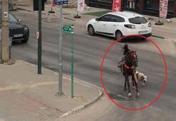 Başıboş pitbull ata saldırdı