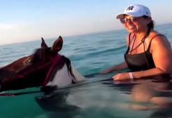 'Denizde at turu hayvana eziyet