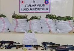 Diyarbakır'da 15 milyon 882 bin kök kenevir ile 2,5 ton esrar ele geçirildi