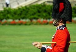 PETA: İngiltere Savunma Bakanlığı, ayı kürkü kepler için paranızı harcıyor