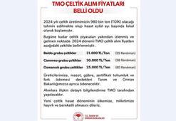 TMO çeltik alım fiyatları belirlendi