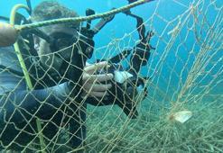 Hayalet ağların deniz ekosistemine verdiği zarar, su altı kamerasıyla görüntülendi