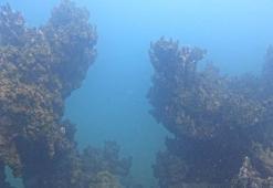 Van Gölü’nde 34,6 metre boyunda mikrobiyalit bulundu