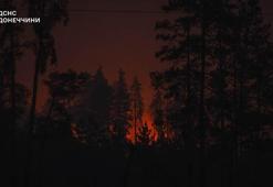 Donetsk bölgesinde Rus saldırısı sonrası orman yangını