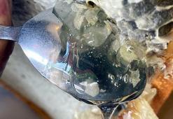 Yeşil bala bakmaya doyamadı