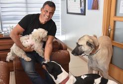 Fabrikasını can dostlarına açtı: 36 köpek, 7 kedi var