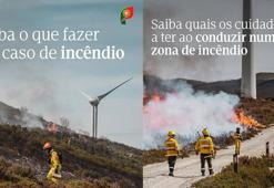 Portekiz’deki orman yangınlarda ölü sayısı 7’ye yükseldi