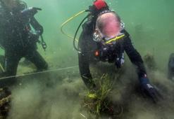 Marmara Denizi’nde deniz çayırı ekimi başladı; müsilajla birlikte azalan oksijen seviyesi artırılacak