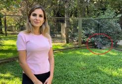 Hayvanat bahçesinin yeni üyesi yavru kanguruya, kendisini ilk görüntüleyen muhabirin adı verildi