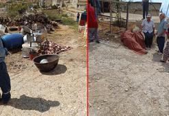 Mut'ta komşu kavgası: 3 ölü