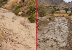 Elazığ’da sağanak ve dolu kayısı bahçelerine zarar verdi