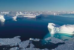 'Dünya kentlerinin yüzde 83’ü iklim krizi tehdidi altında'