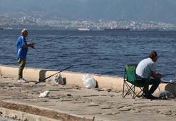 Olta balıkçıları, yasağa ve kötü kokuya aldırmadan balık tuttu