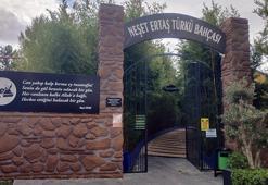 Neşet Ertaş'ın 12'nci ölüm yıl dönümünde, açık hava müzesi kuruldu