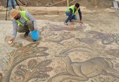 Tarlasında 84 metrekarelik taban mozaiği buldu; Vali Hatipoğlu'ndan inceleme