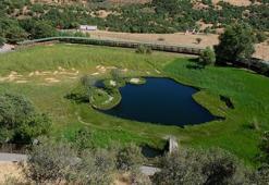 Yüzen adalara 17 bin ziyaretçi