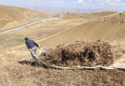 Ot balyalarını brandayla köye indiriyorlar