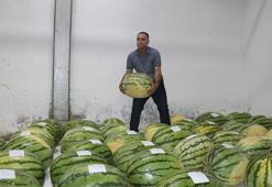 Yarışma öncesi 64 Diyarbakır karpuzuna soğuk hava deposunda kilitli koruma