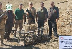 Hakkari'de yasa dışı keklik avına 138 bin 142 TL ceza