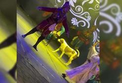 İzmir'de zeybek gösterisi sırasında sahneye çıkan sokak köpeği gülümsetti, o anlar kamerada