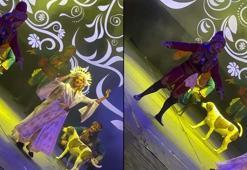 İzmir'de zeybek gösterisi sırasında sahneye çıkan sokak köpeği gülümsetti, o anlar kamerada