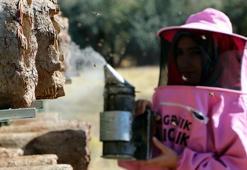 'Pembe maskeli kadınlar' bal hasadına başladı