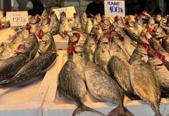 Trabzon’da palamut irileşti, fiyat arttı