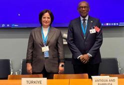 Bakan Yardımcısı Varank, Plastik Kirliliği Anlaşması Bakanlar İstişare Toplantısı’na katıldı