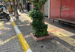 Sokakta hareketsiz bulundu, kaldırıldığı hastanede öldü