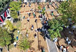 Ataşehir’de ‘Kent Bostanı’ projesi hayata geçti