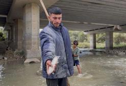 Karasu Nehri'nde balık ölümleri