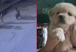 Motosikletle gelip, 'Prenses'i çaldılar; o anlar kamerada