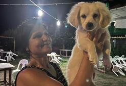 Çalınan 'Prenses' isimli köpek bulundu, sahibi mutluluk yaşadı