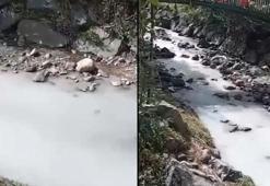 Rize'de dereye kireç döken kişiye 464 bin 585 lira ceza