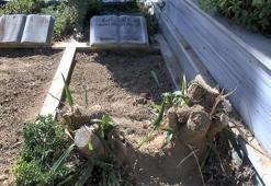 Cem Garipoğlu'nun mezarının son görüntüsü