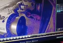 Sokak köpeğini sopayla öldürdü; o anlar kamerada
