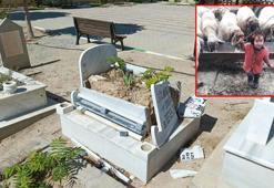 Müslüme'nin mezarındaki mermer kaplama kırıldı