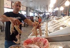 Hatay'da tezgahlarda karides bolluğu; diğer balık fiyatları da düştü