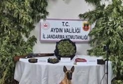 19 ilde 'Narkoçelik-42' operasyonlarında 49 şüpheli yakalandı