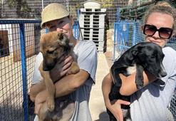 Tatiana ve İrina, barınaktaki can dostlara umut oluyor