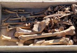 Burdur'daki Hacılar Höyüğü'nde 5 bin yıllık iskelet bulundu