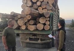 Orman ekiplerinden 115 noktada 'kaçak odun' denetimi