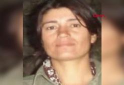 Canlı bomba saldırısı planlayan teröriste nokta operasyon