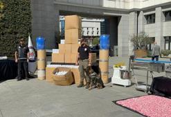 900 milyon lira değerinde uyuşturucu ele geçirildi; 128 gözaltı