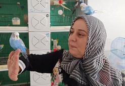 Eşinin Sevgililer Günü'nde aldığı 'Paşa'yı çok sevdi; evinde 25 muhabbet kuşuna bakıyor