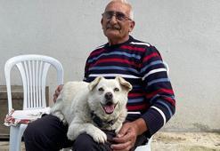 'Boncuk'un vefası, Uzak Doğu'da belgesele konu oldu